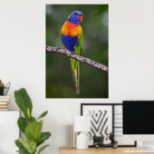 Rainbow Lorikeet Trichoglossus Haematodus Parrot Poster (Heimbüro)