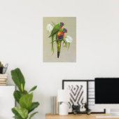 Rainbow Lorikeet - Trichoglossus haematodus Poster (Heimbüro)