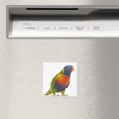 Rainbow Lorikeet - Trichoglossus Magnet (In Situ (Geschirrspüler))