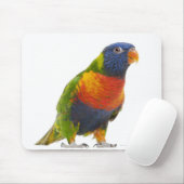 Rainbow Lorikeet - Trichoglossus Mousepad (Mit Mouse)