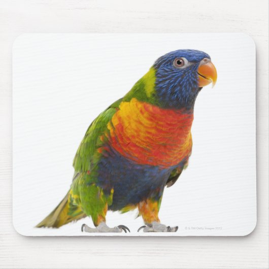 Rainbow Lorikeet - Trichoglossus Mousepad (Vorne)