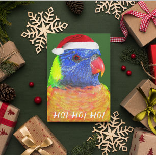 Rainbow Lorikeet Wear Weihnachtsmannmütze Aussie Feiertagskarte