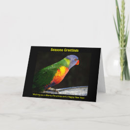 Rainbow Lorikeet Xmas Card Feiertagskarte