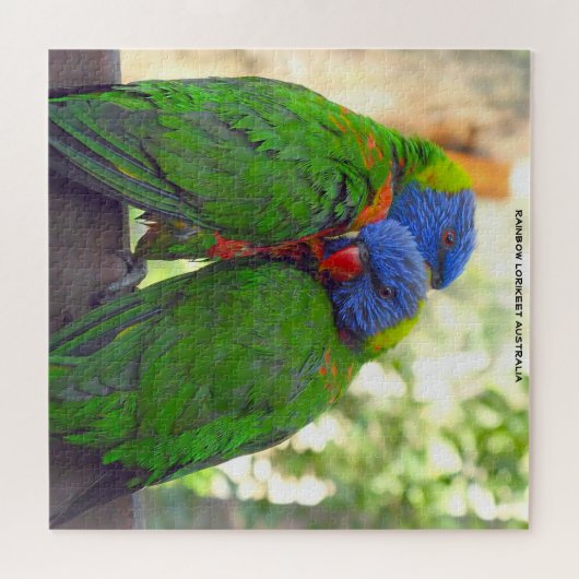 Rainbow Lorikeets Australien Puzzle (Horizontal)