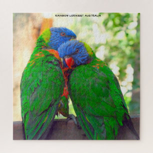 Rainbow Lorikeets Australien Puzzle