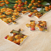 Rainbow Lorikeets Australien Puzzle (Seite)