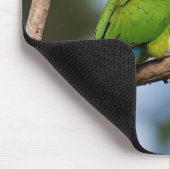 Rainbow Lorikeets Mousepad (Ecke)