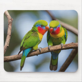 Rainbow Lorikeets Mousepad