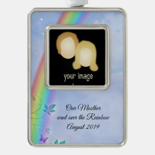 Rainbow Loss Ornament Rahmen-Ornament Silber