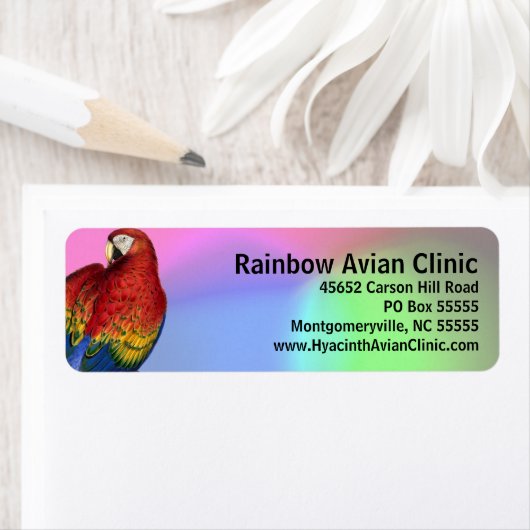 Rainbow Macaw mit farbenprächtigem Hintergrund (Insitu)