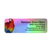 Rainbow Macaw mit farbenprächtigem Hintergrund (Vorne)
