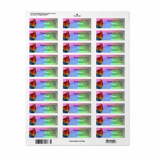 Rainbow Macaw mit farbenprächtigem Hintergrund (Vorne)