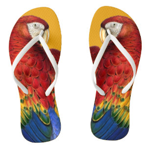 Rainbow Macaw Parrot Lover Bold und Summery Badesandalen