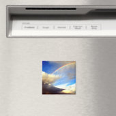 Rainbow Magnet (In Situ (Geschirrspüler))