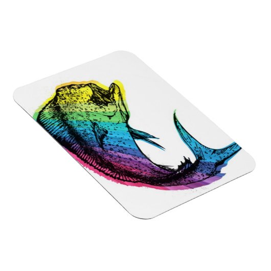 Rainbow Mahi Mahi Magnet (Rechte Seite)