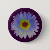 Rainbow Marigold Button (Vorderseite)