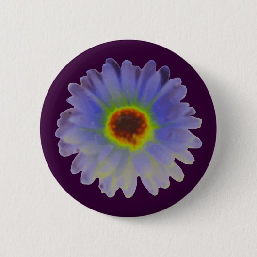 Rainbow Marigold Button (Vorderseite)