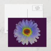 Rainbow Marigold Postcard Postkarte (Vorne/Hinten)
