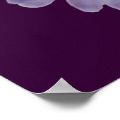 Rainbow Marigold Poster (Ecke)