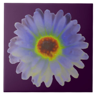 Rainbow Marigold Tile Fliese