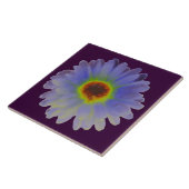 Rainbow Marigold Tile Fliese (Seite)