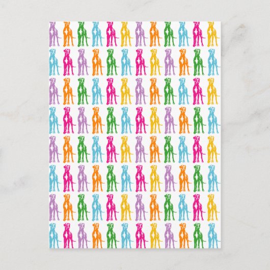 Rainbow Mastiff Pattern Postkarte (Vorderseite)
