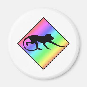 Rainbow Monkey Crossing Magnet