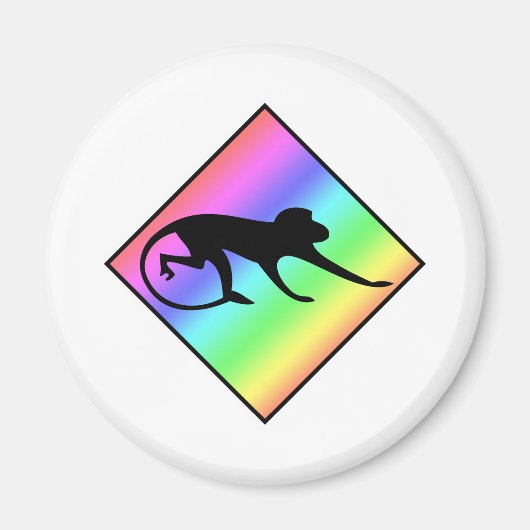 Rainbow Monkey Crossing Magnet (Vorne)