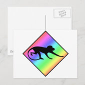 Rainbow Monkey Crossing Postkarte (Vorne/Hinten)