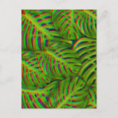 Rainbow Monstera Blätter Postkarte (Vorderseite)