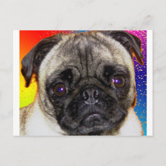 Rainbow Mops Postkarte
