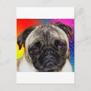 Rainbow-Mops Postkarte