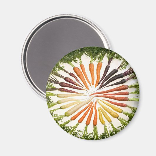 Rainbow Multicolored Carrots Magnet (Vorderseite/Rückseite)