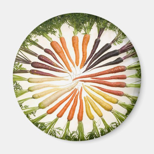 Rainbow Multicolored Carrots Magnet (Vorne)