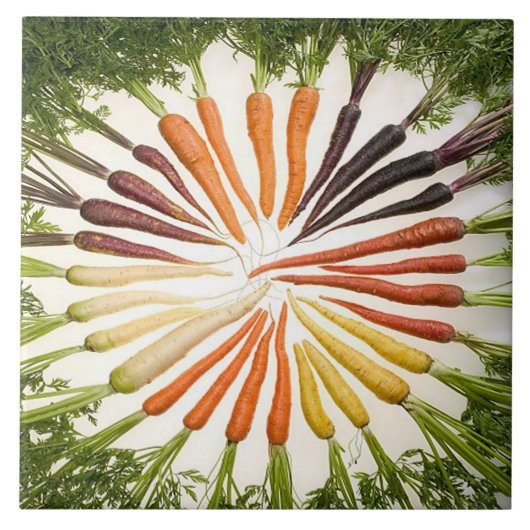 Rainbow Multicolored Carrots Tile Fliese (Vorderseite)
