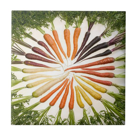 Rainbow Multicolored Carrots Tile Fliese (Vorderseite)