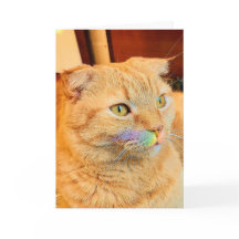 Rainbow Mustache Skippy Blank Grußkarte