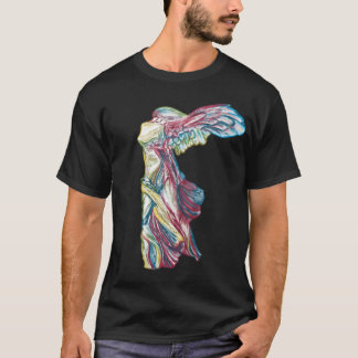 Rainbow Nike Samothrace Skulptur Kunst-Geschichte T-Shirt