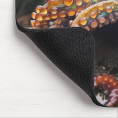 Rainbow Octopus Mousepad (Ecke)