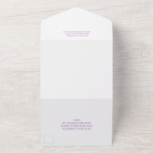 Rainbow Ombre String Lights Gay Wedding All In One Einladung (Außenbereich)