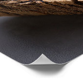 Rainbow Opalized Wood - versteinertes Wald Gem Poster (Ecke)