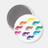 Rainbow Otters Magnet (Vorderseite/Rückseite)
