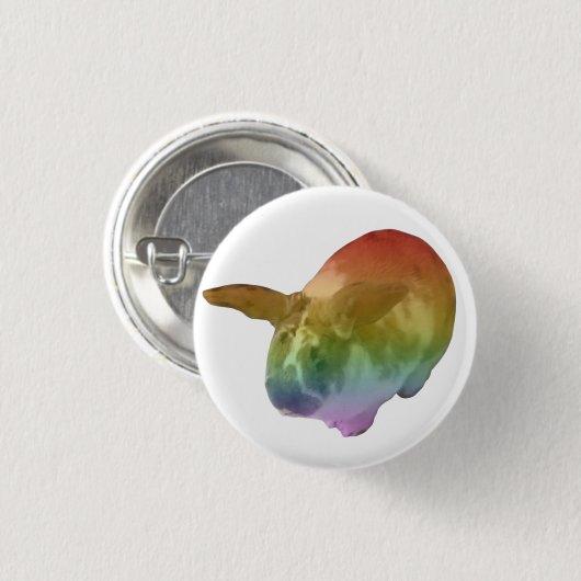 Rainbow Paddy Abzeichen Button (Vorne & Hinten)