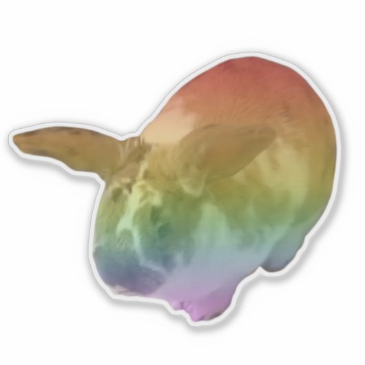 Rainbow Paddy Sticker (Vorderseite)