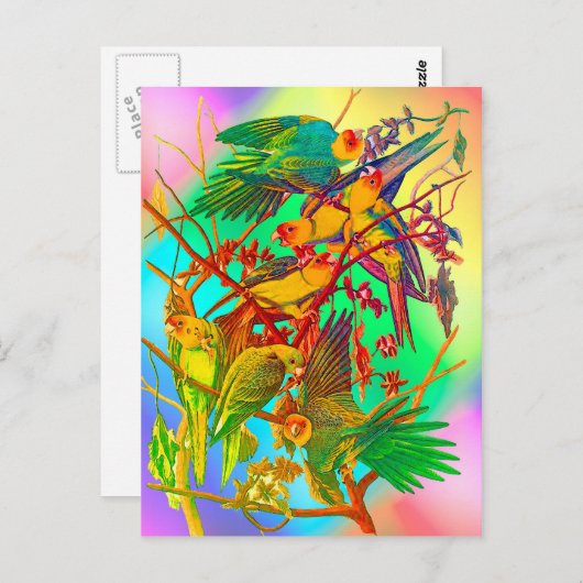 Rainbow Parrot Parade Postkarte (Vorne/Hinten)