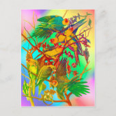 Rainbow Parrot Parade Postkarte (Vorderseite)