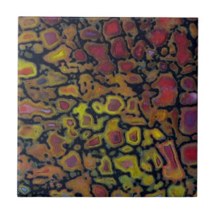 Rainbow Petrified Dinosaurier Bone Fliese