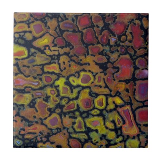 Rainbow Petrified Dinosaurier Bone Fliese (Vorderseite)