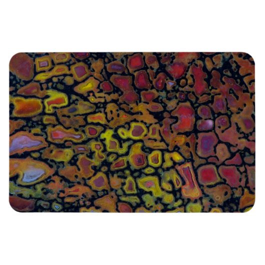 Rainbow Petrified Dinosaurier Bone Magnet (Horizontal)