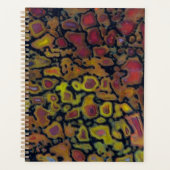 Rainbow Petrified Dinosaurier Bone Planer (Vorderseite)